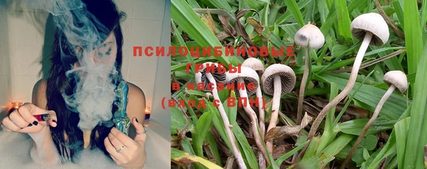 экстази Богданович